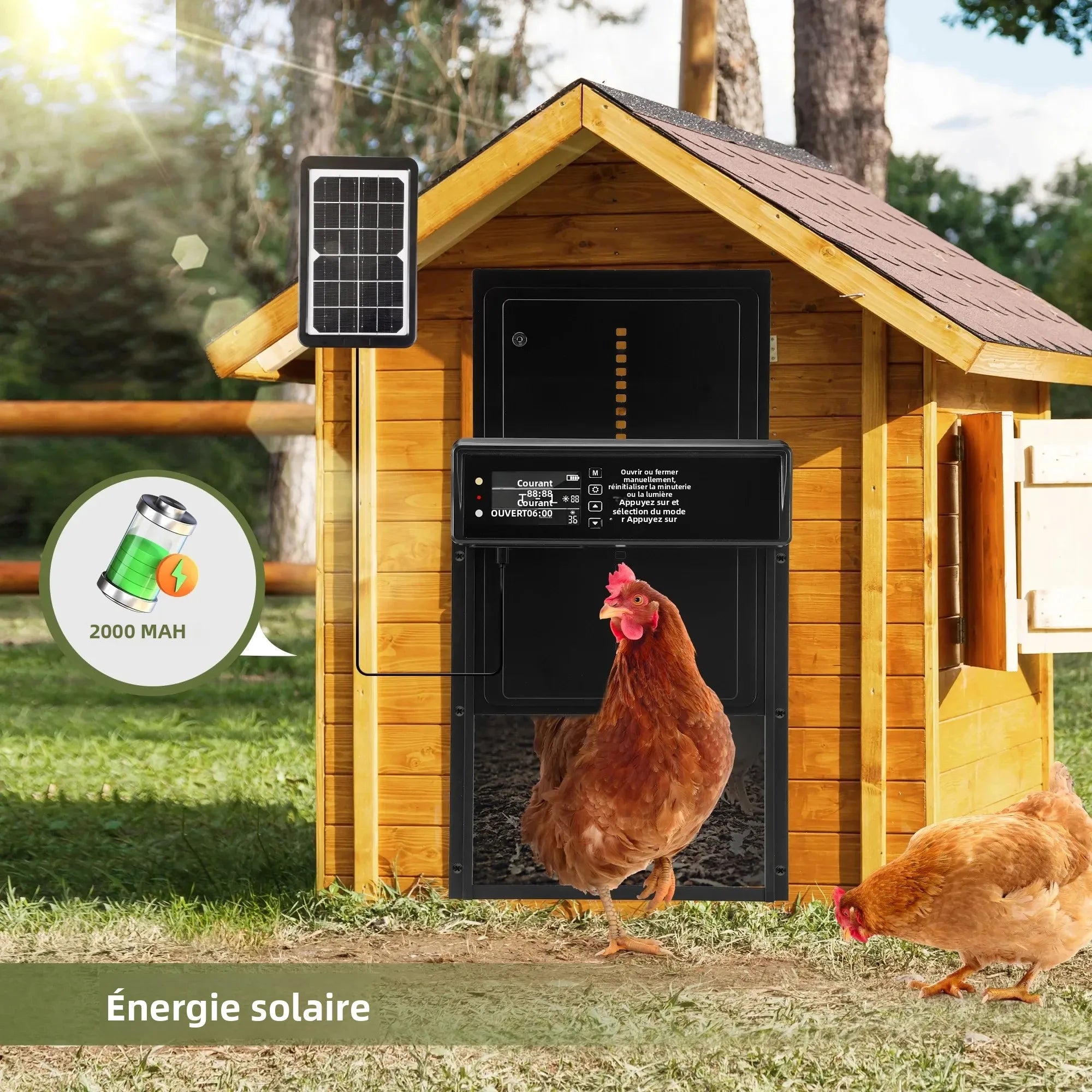 Porte automatique pour poulailler solaire – Écran LCD, capteur de lumière, télécommande.